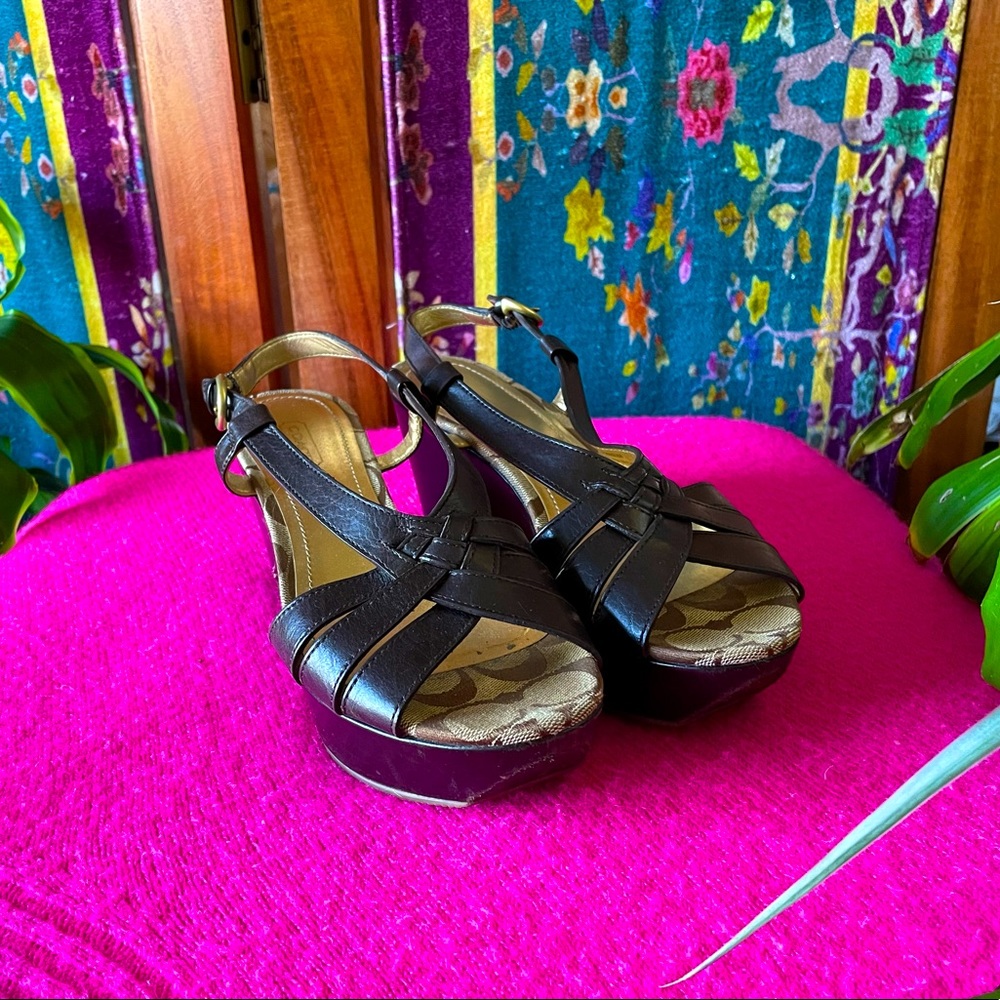 Coach Mollie Brown Leather Wedge Slingback Sandal - Size 6